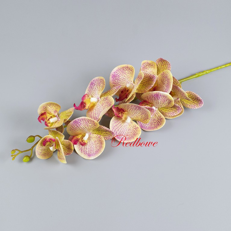 Орхидея Фаленопсис желто-красная в точку Б408