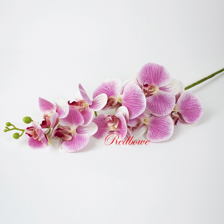 Орхидея розово-белая Б473