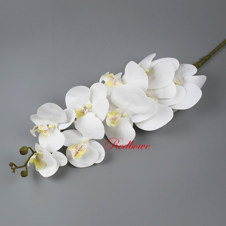 Орхидея белая со светлой серединкой Б478