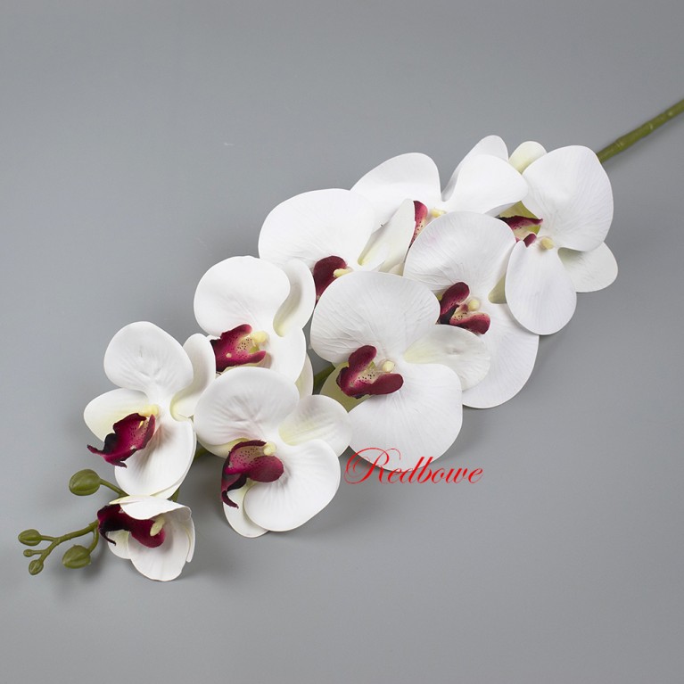 Орхидея белая с бордовой серединкой Б499