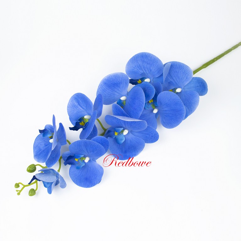 Орхидея синяя Б500