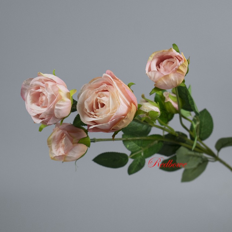Роза розовая Б430