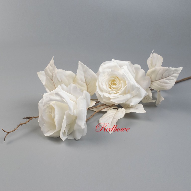 Роза белая ветки Б559