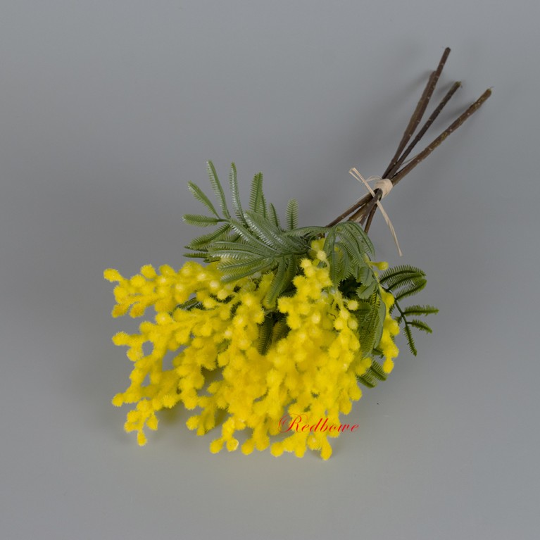 Мимоза, букет 5 веток Б657