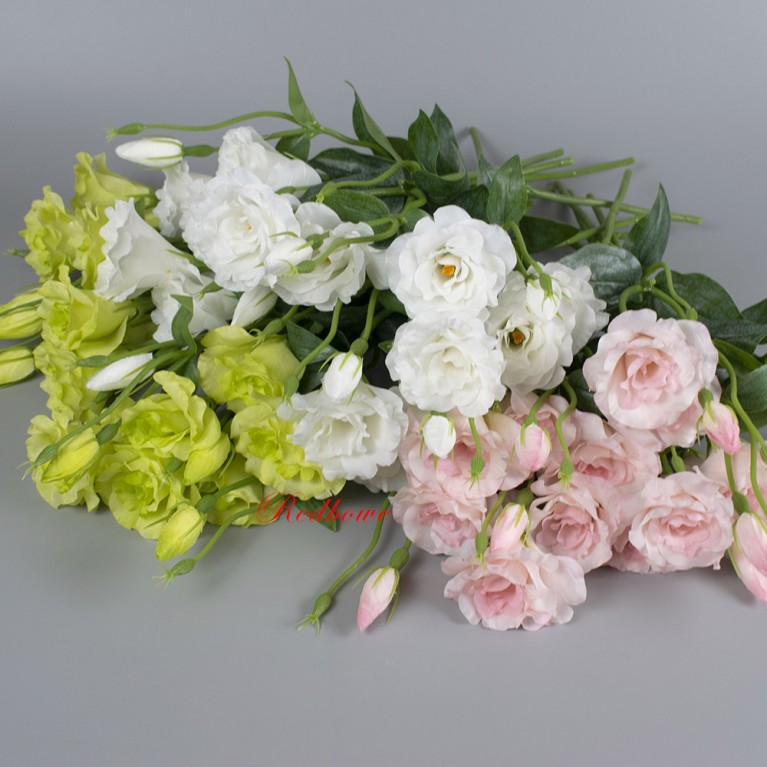 Эустома Б659