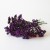 Гроздь фиолетовых ягод св. 5шт П670