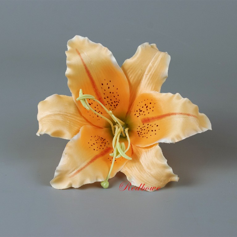 Лилия оранжевая, головка д.16см Г40