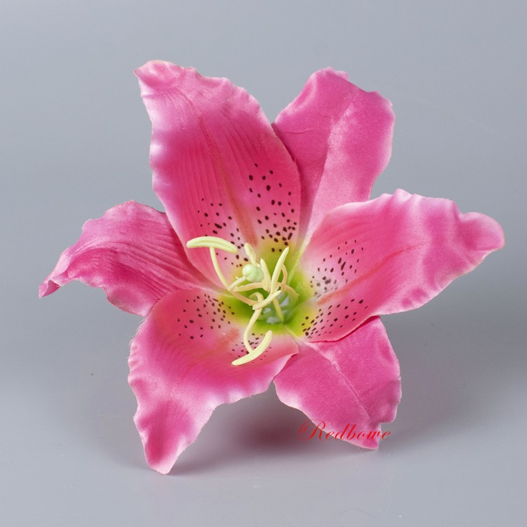 Лилия розовая, головка д.16см Г40